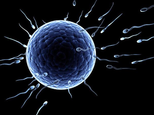 9 mitos tentang sperma yang ramai masih percaya 2