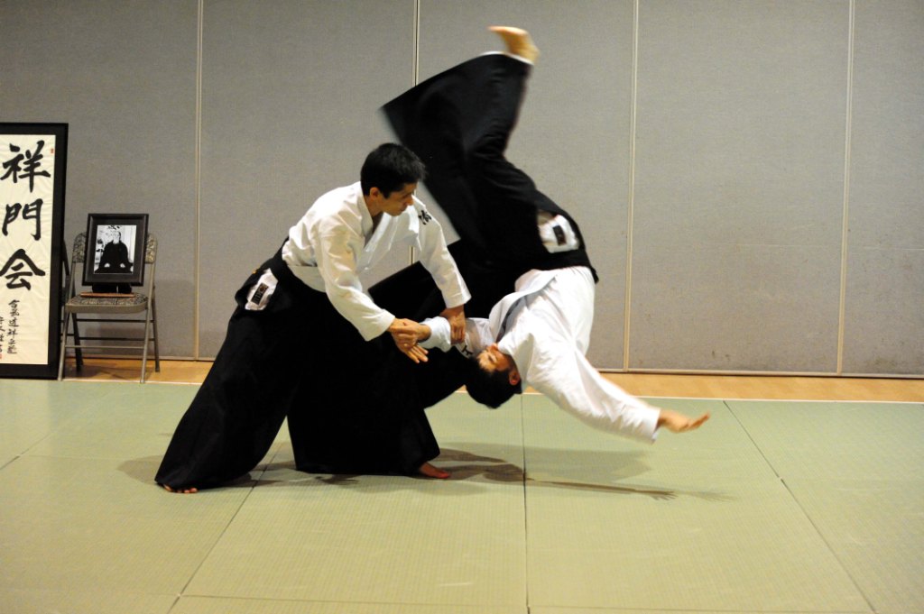 aikido seni mempertahankan diri jepun