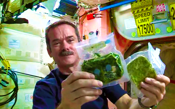 angkasawan makan dalam pesawat angkasa
