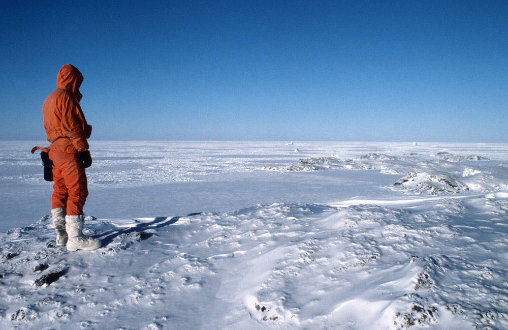antartika gurun paling besar di dunia