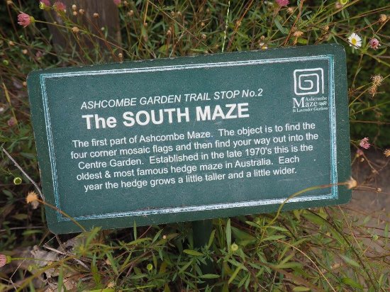 ashcombe maze australia