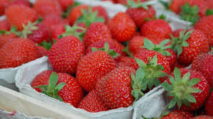 bau buah strawberi trademark pelik