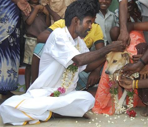 berkahwin dengan anjing di india