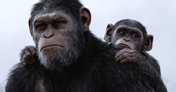 beruk dalam filem planet of the apes