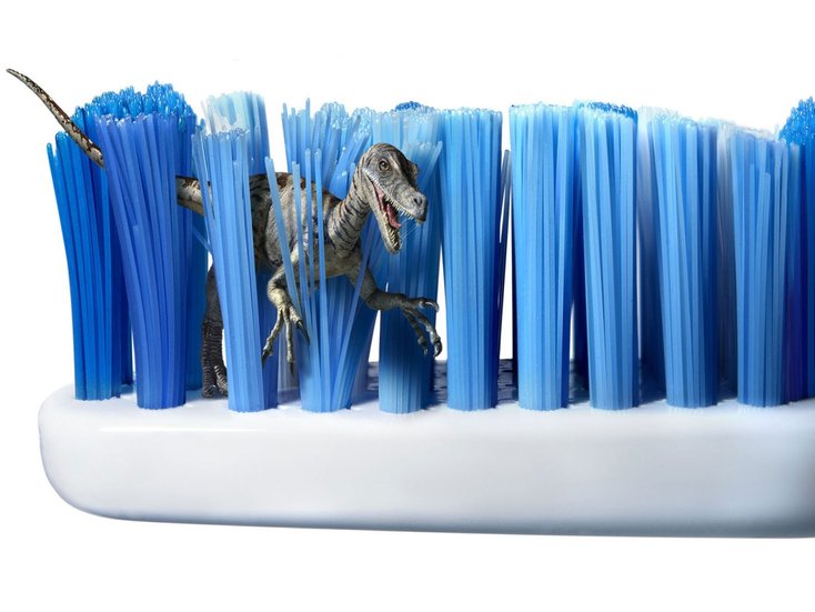 berus gigi boleh jadi tempat pembiakan bakteria sekiranya tidak ditukar atau dicuci dengan betul