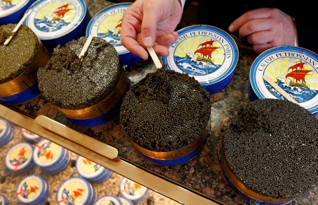 black caviar telur ikan paling mahal