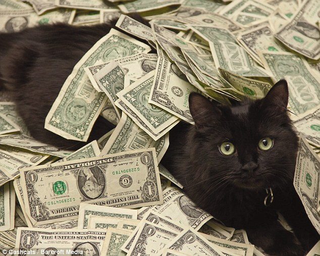 blackie haiwan paling kaya di dunia