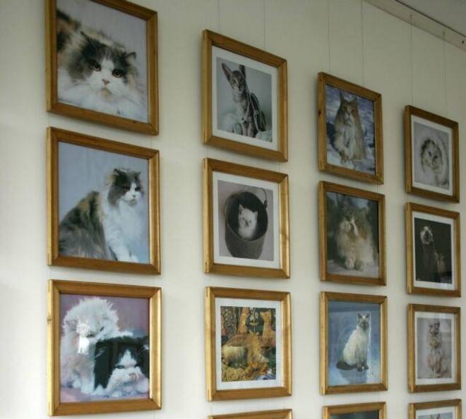 cat museum lithuania