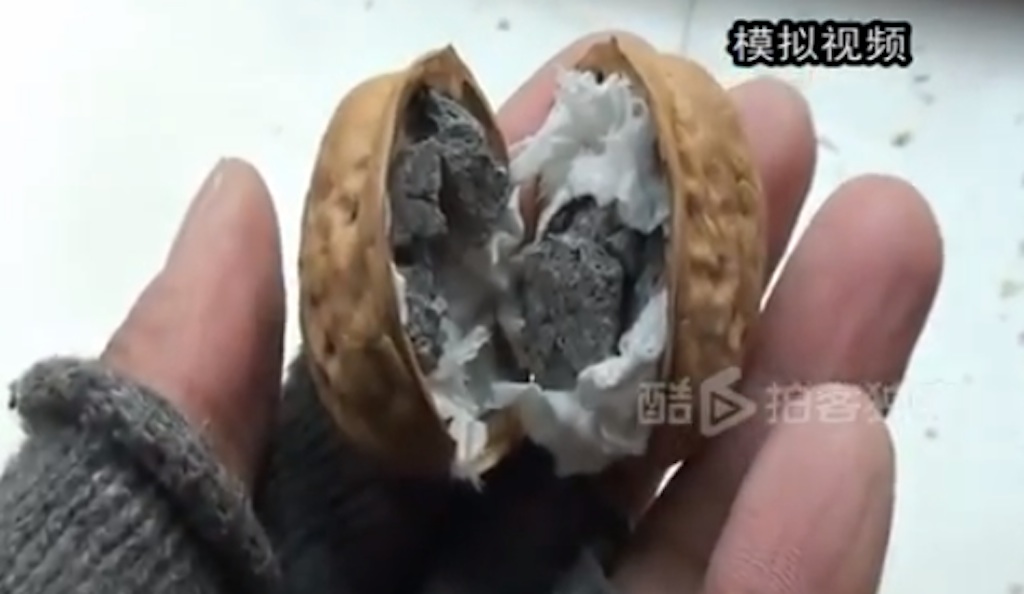china kacang walnut tiruan palsu
