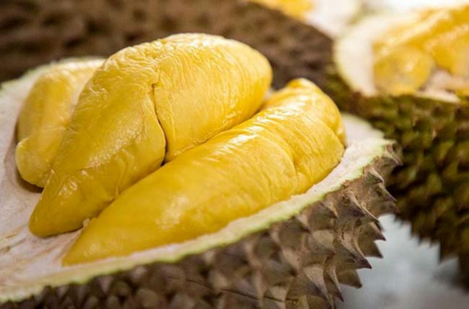 durian raja buah king of fruit
