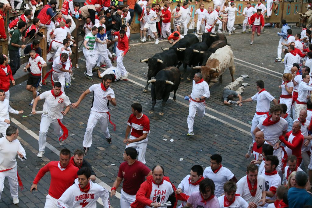 festival larian lembu jantan di pamplona 474