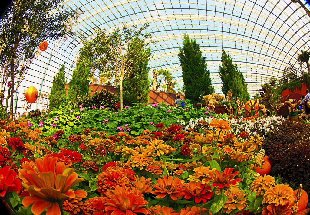flower dome 75