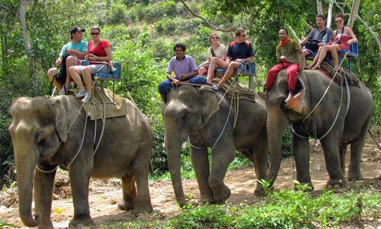 gajah bawa penumpang