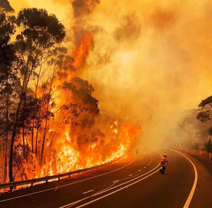 gambar sekitar kebakaran hutan di australia 10