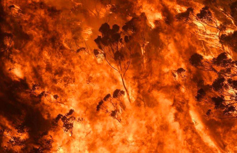 gambar sekitar kebakaran hutan di australia 15