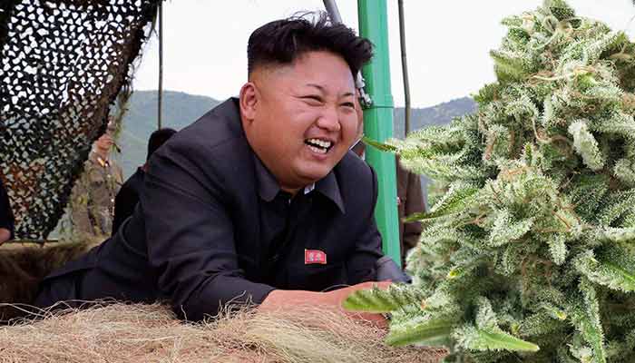 ganja tidak diharamkan 15 fakta pelik dan menarik mengenai korea utara