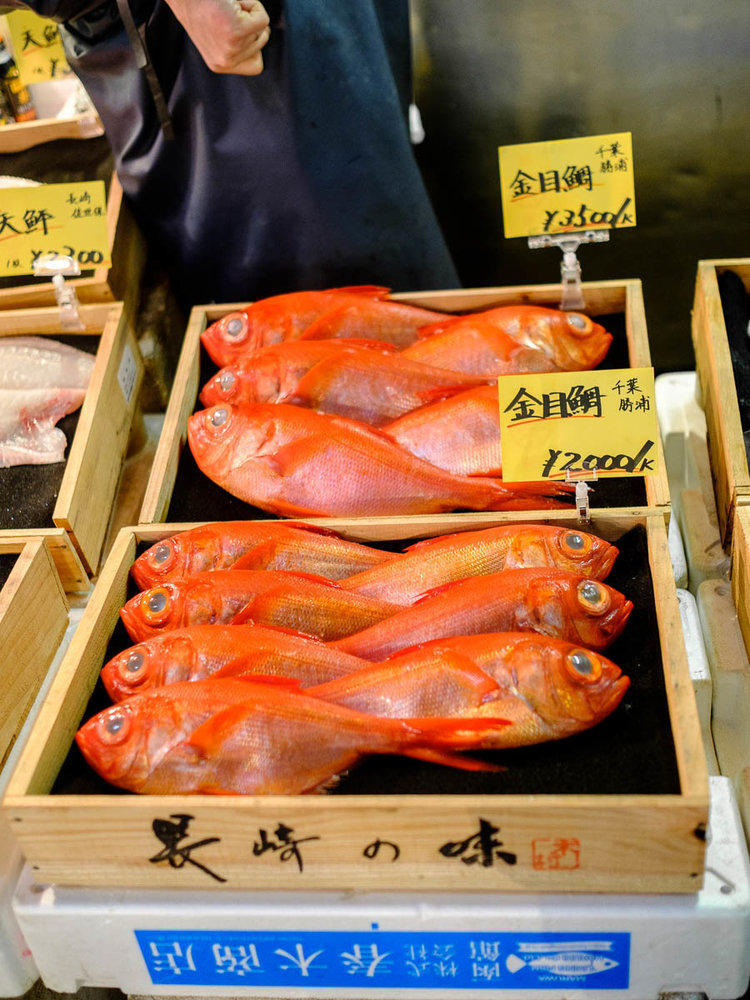 ikan segar setiap hari di pasar tsukiji tokyo jepun
