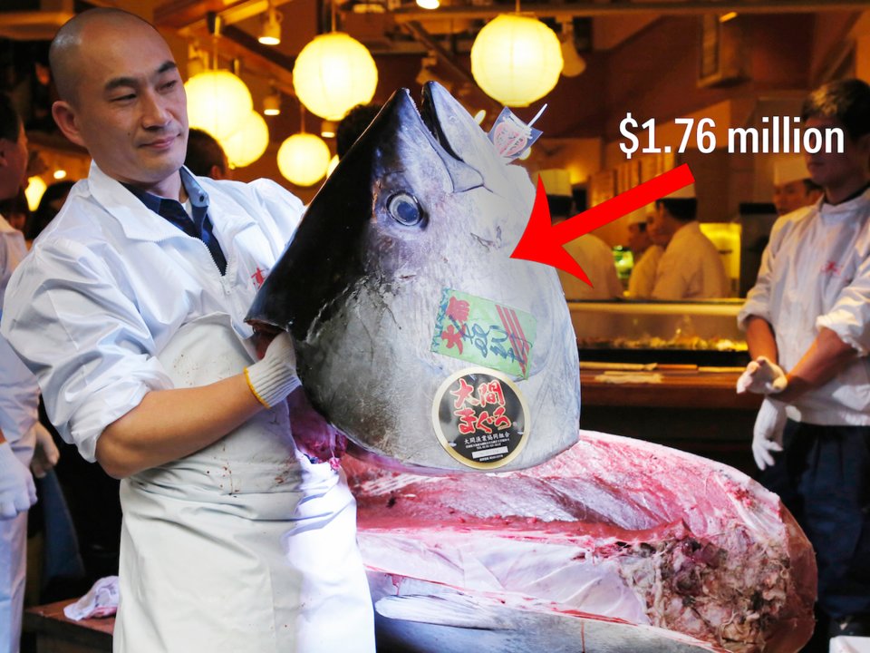 ikan tuna paling mahal pernah dijual di pasar tsukiji tokyo