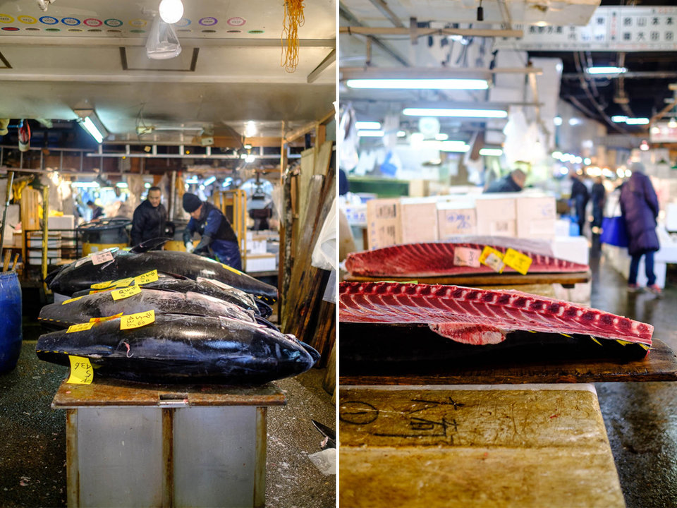 ikan tuna sirip biru paling popular di pasar tsukiji jepun