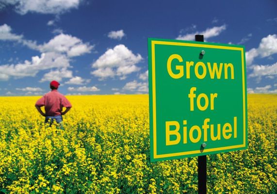 industri biofuel alternatif bagi sumber petrol dunia