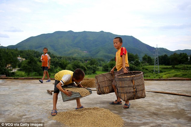 kanak kanak bermain sambil menolong orang buat kerja