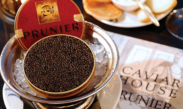 kaviar hidangan untuk orang kaya