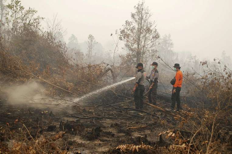 kebakaran hutan sejarah indonesia