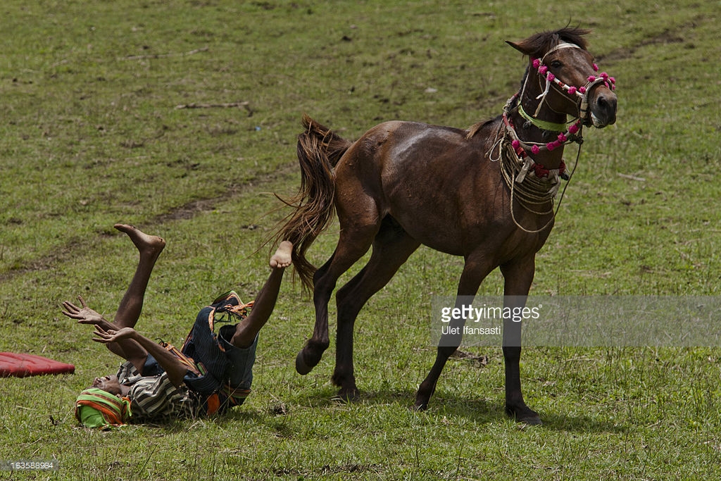 korban darah kaum sumba pasola lawan lembing atas kuda kepercayaan indonesia 2