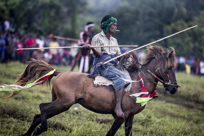 korban darah kaum sumba pasola lawan lembing atas kuda kepercayaan indonesia