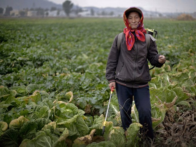 korea utara petani wanita