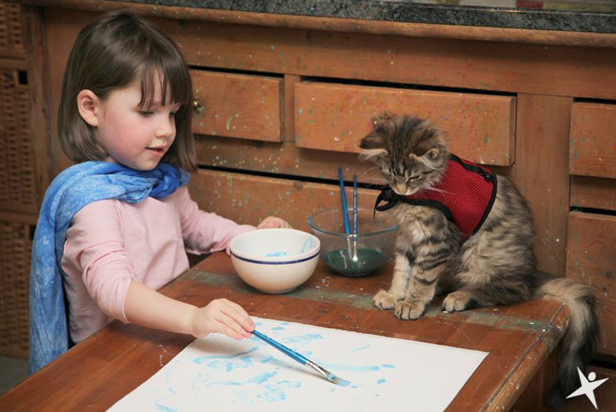 kucing bantu kanak kanak autisma