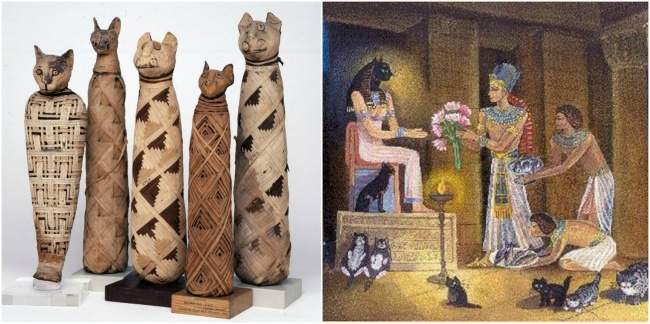 kucing dipuja oleh orang mesir kuno