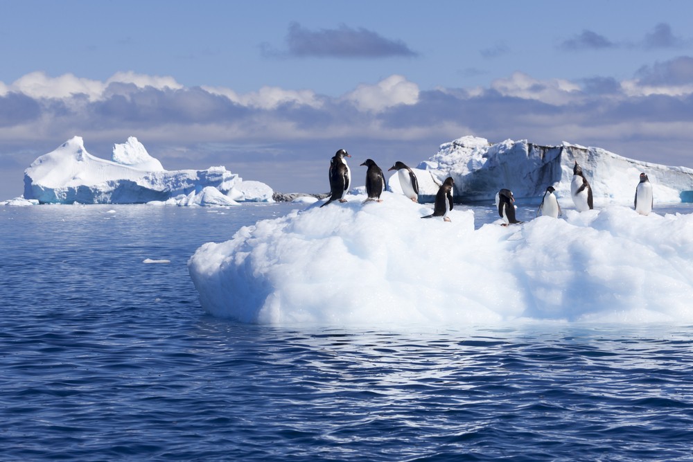 kutub selatan tersangat sejuk