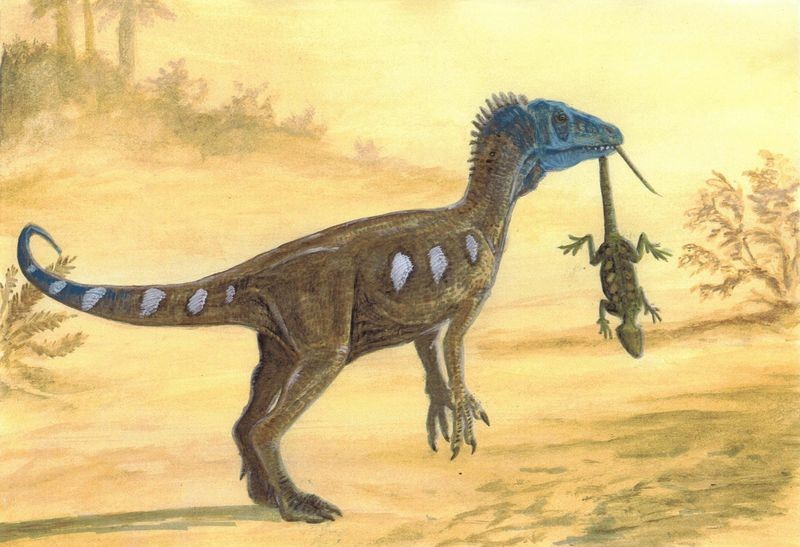 lakaran eoraptor