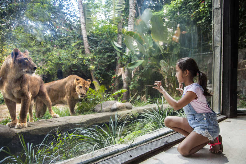 lawatan ke zoo yang berubah menjadi tragedi