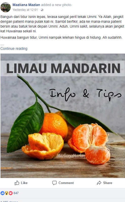 limau mandarin info dan tips