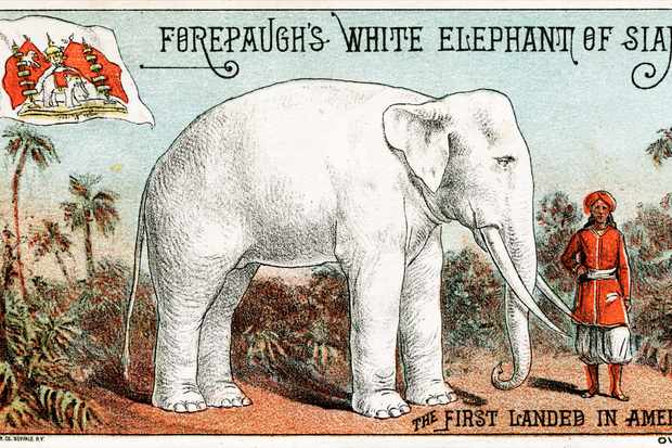 lukisan gajah putih