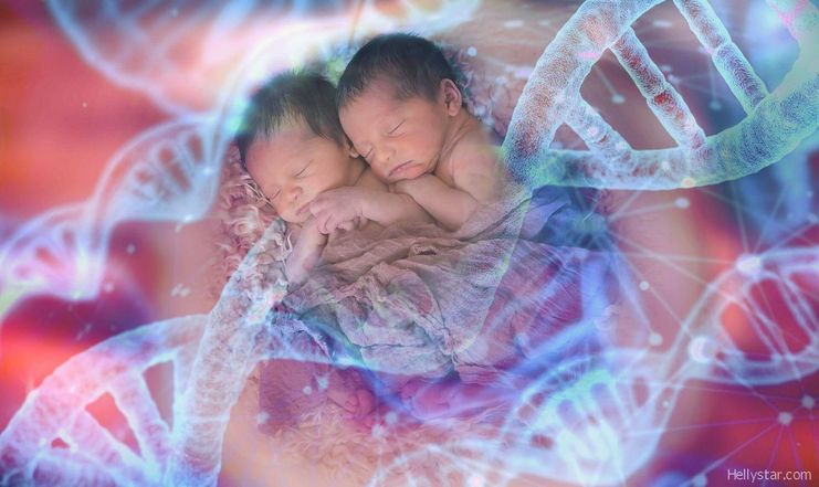 lulu dan nana bayi ubah genetik china