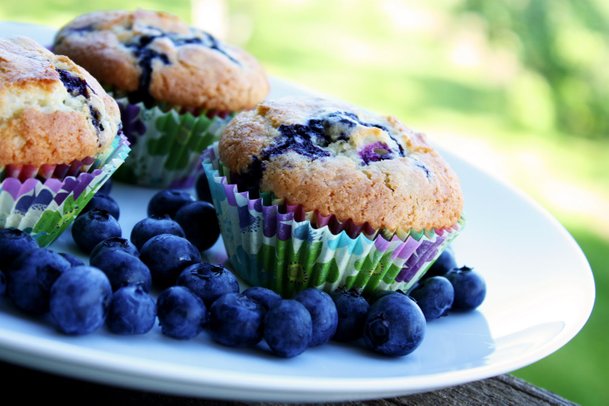 muffin beri biru