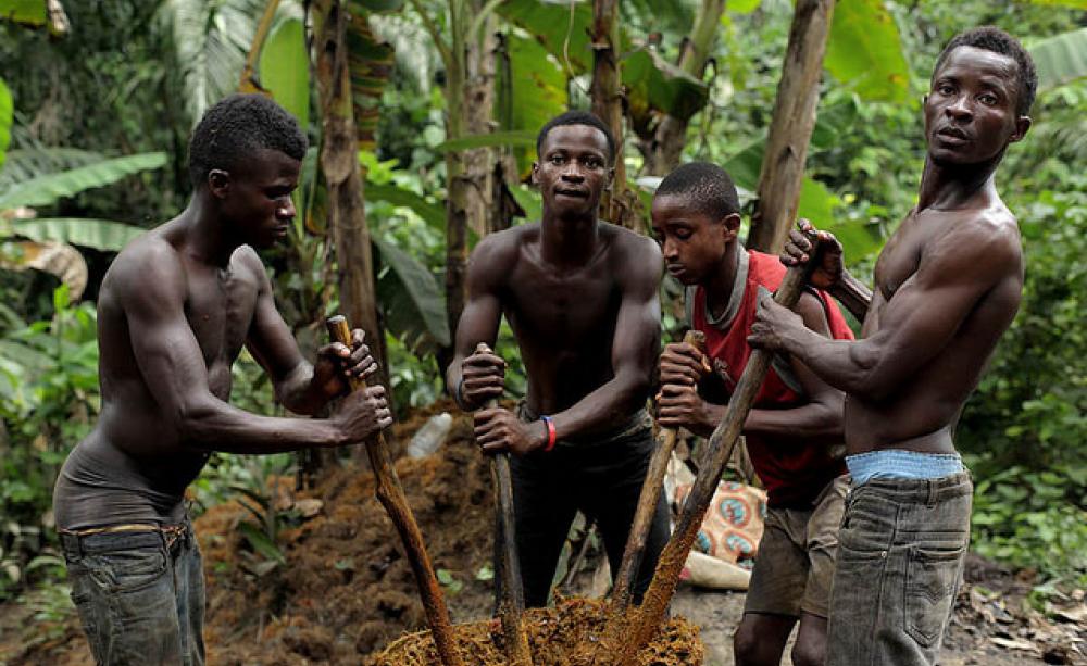 nigeria pengeluar minyak sawit kelima terbesar di dunia