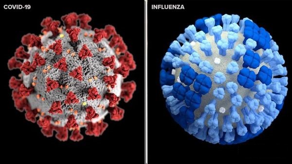 novel coronavirus vs influenza