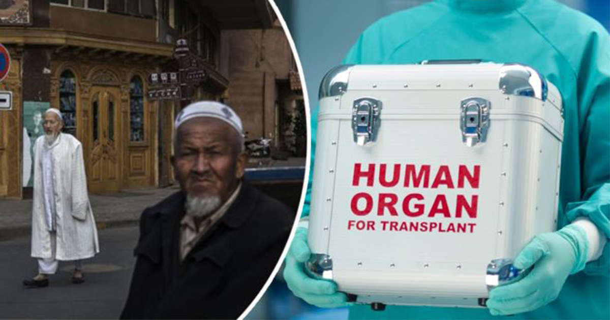 orang islam uyghur menjadi mangsa penuaian organ hidup