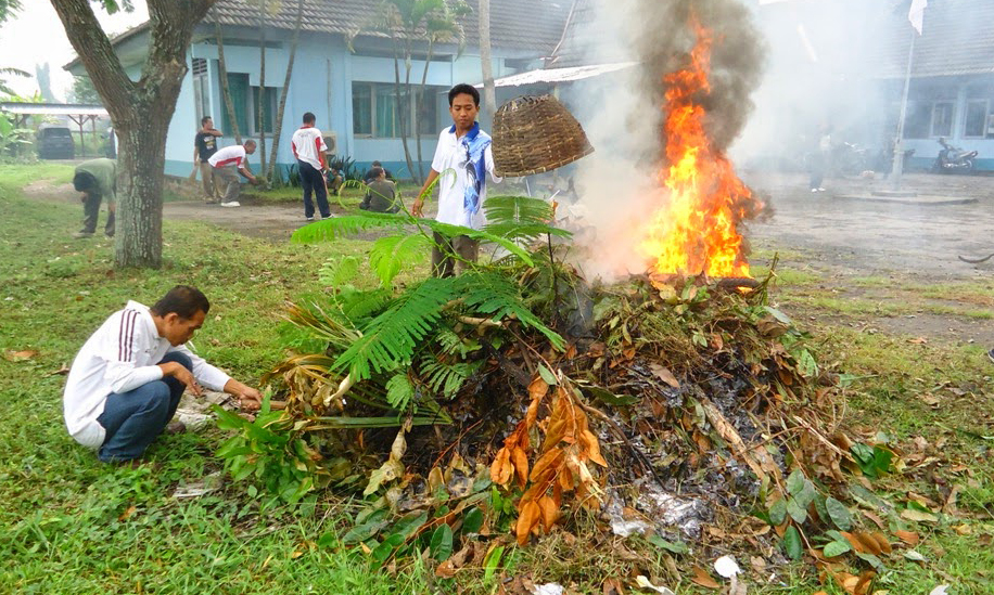 pembakaran secara terbuka bersihkan halaman