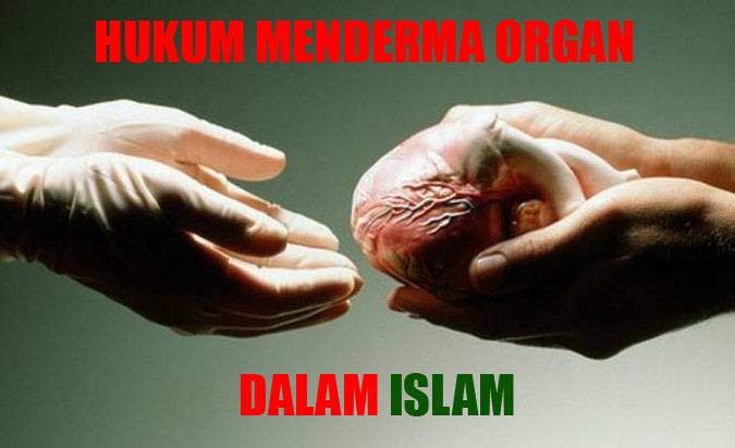 pendermaan dan pemindahan organ dalam islam
