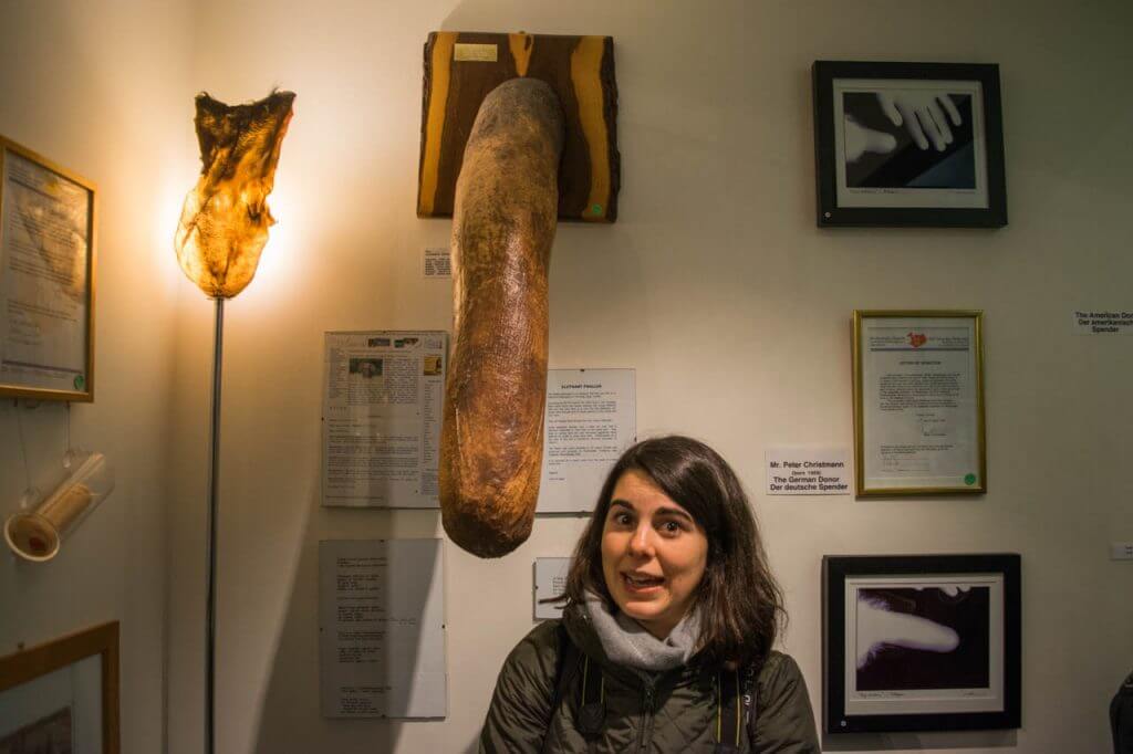 penis museum