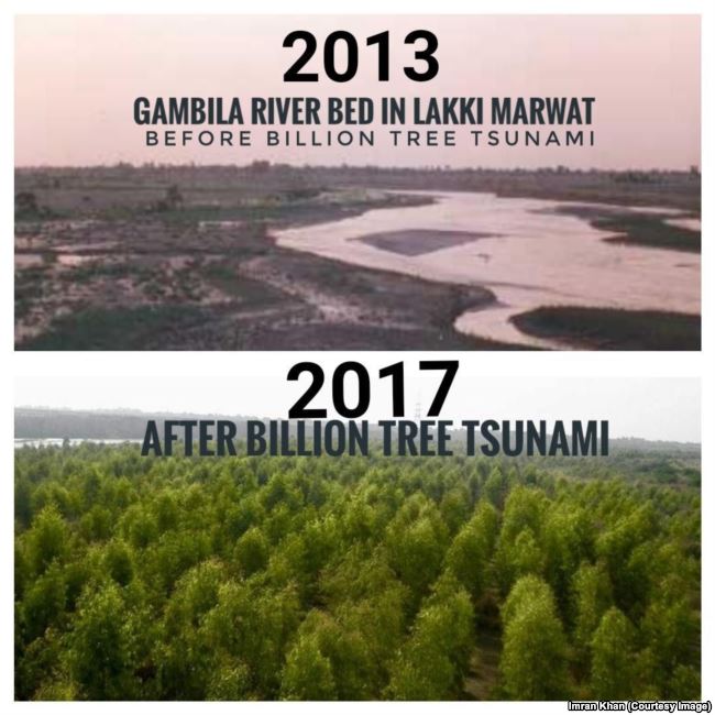 perbezaan ketara hutan di pakistan