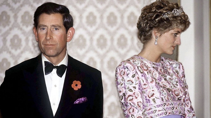 prince charles and princess diana on their last official trip together in november 1992