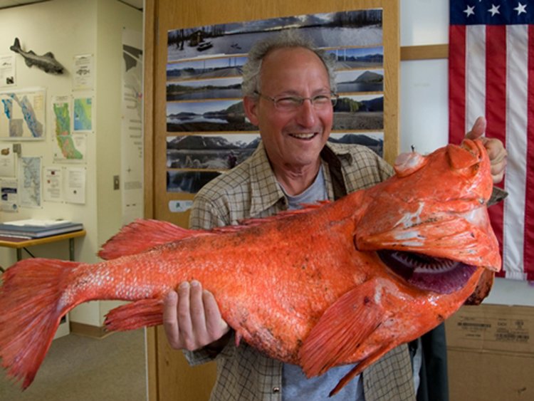 rockfish makhluk umur paling lama