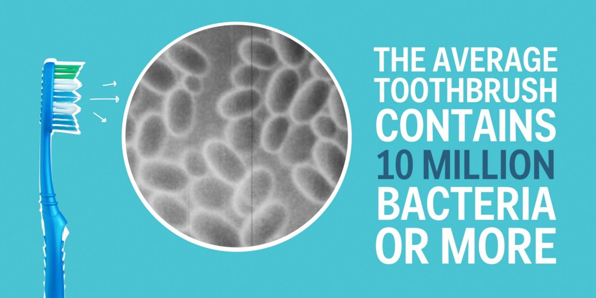 sanggupkah anda menggunakan berus gigi yang penuh dengan bakteria