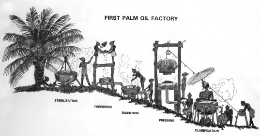 sejarah minyak kelapa sawit 2